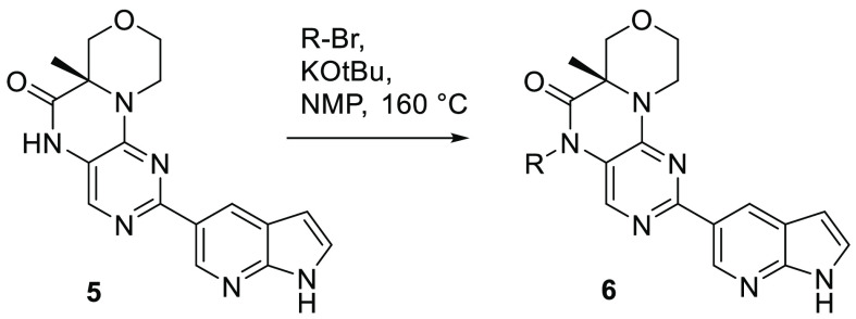 Scheme 1