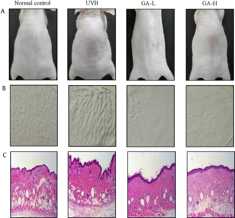 Fig. 1