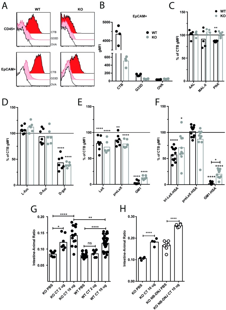 Fig 8