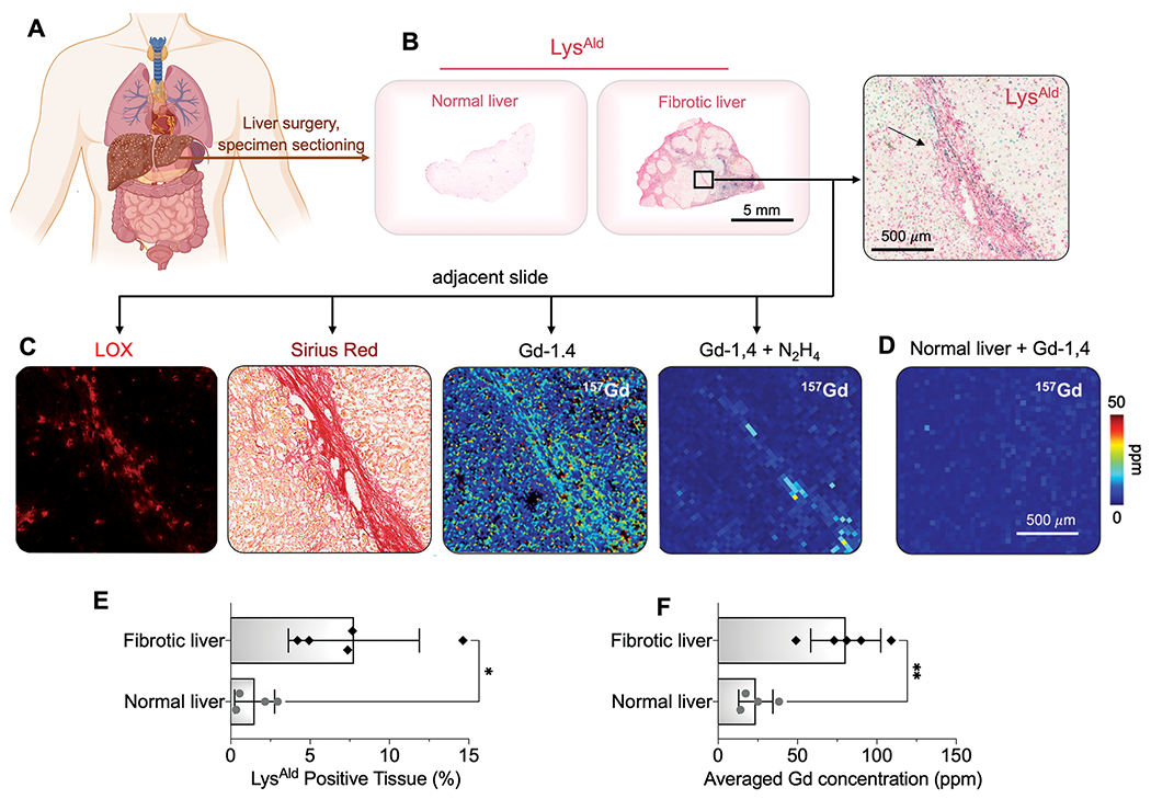 Fig. 6.