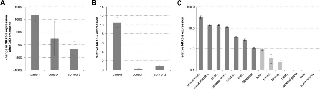 Figure 5