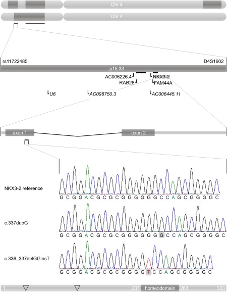 Figure 4