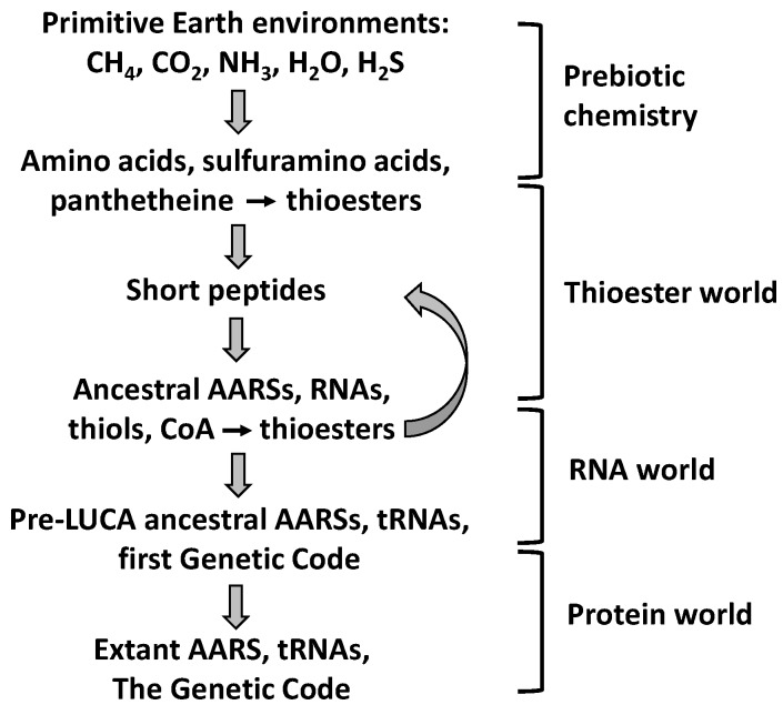 Scheme 3