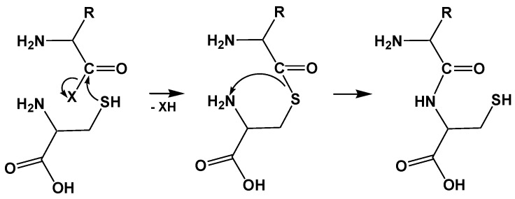 Scheme 2