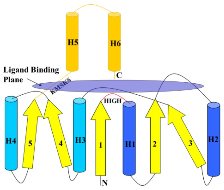 Figure 7