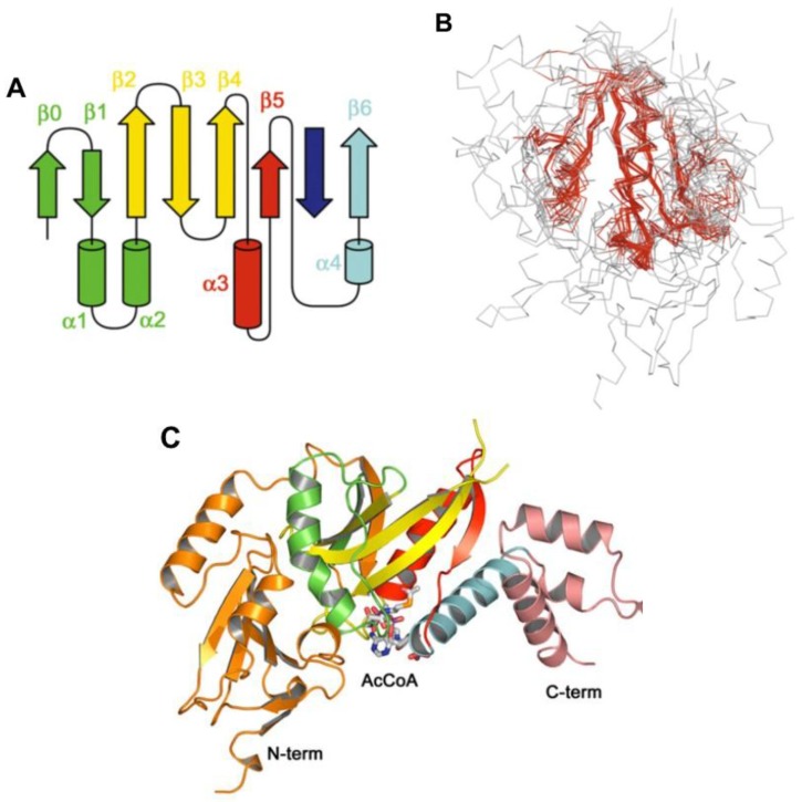 Figure 9