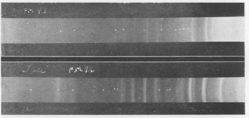 graphic file with name brjindmed00251-0070-b.jpg