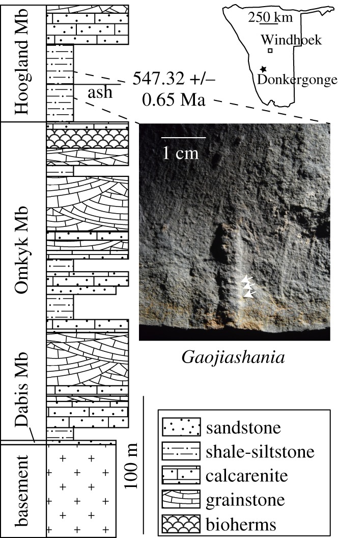 Figure 2.