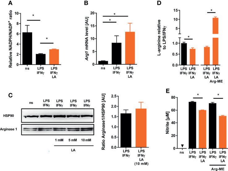 Figure 4