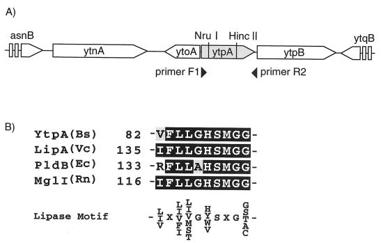 FIG. 5.