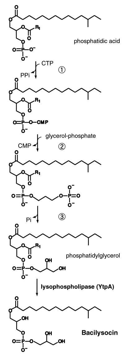 FIG. 7.