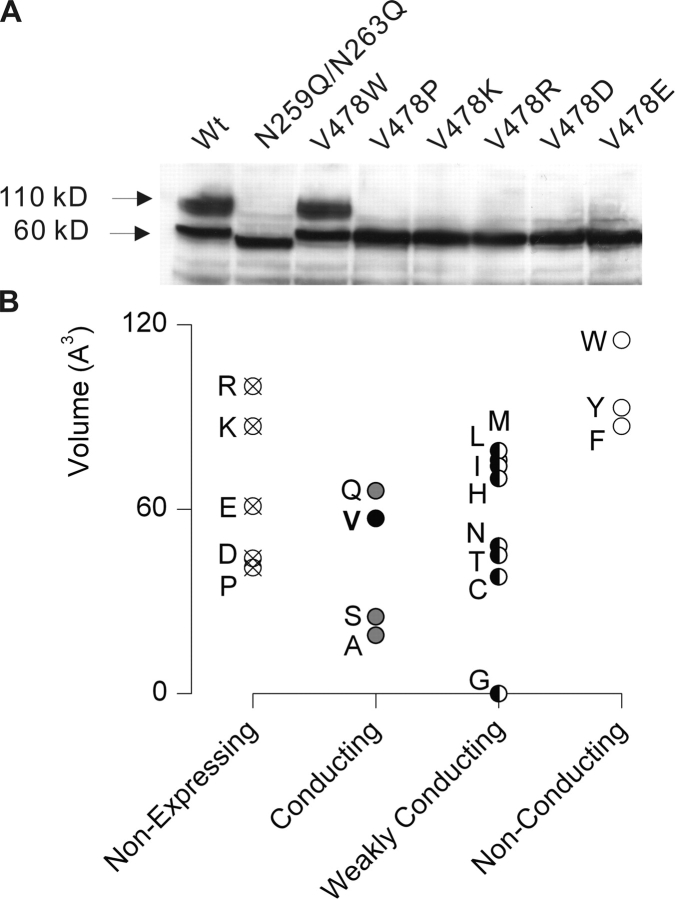 Figure 10. 