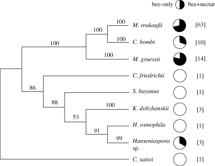 Figure 2.