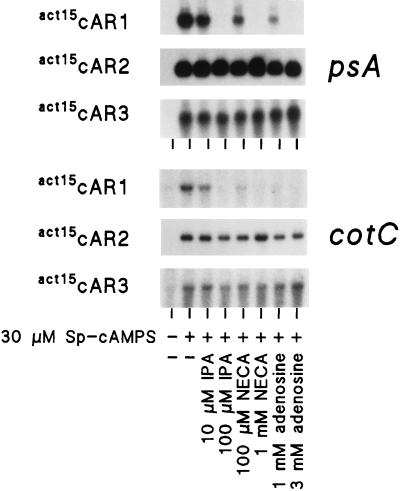 FIG. 5