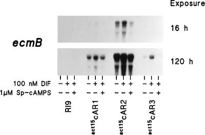 FIG. 6