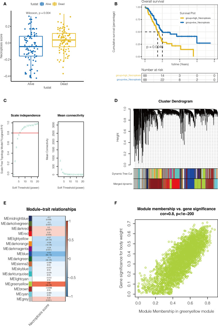 Figure 2