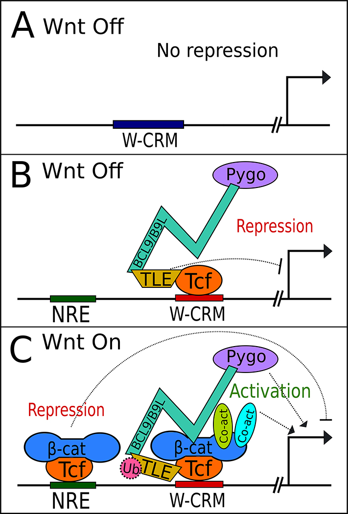 Fig. 2