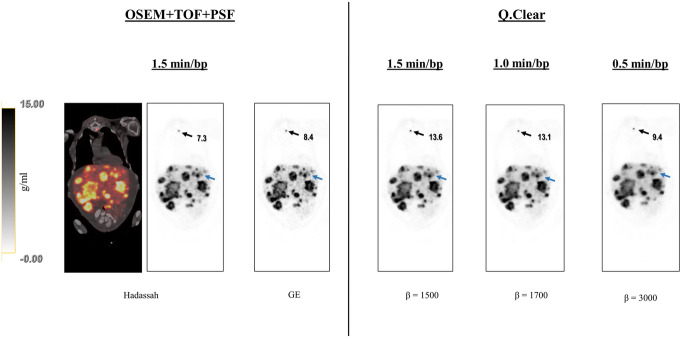 Fig. 8