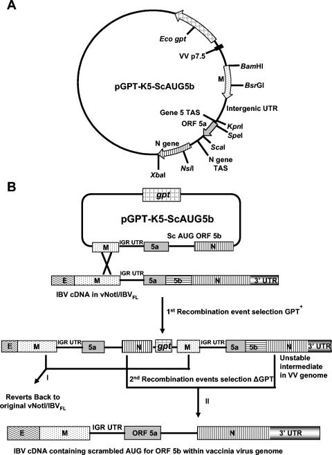 FIG. 2.