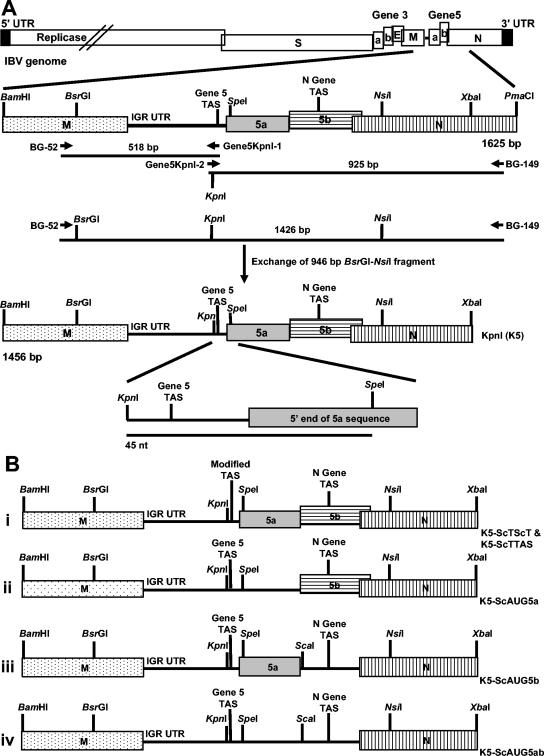 FIG. 1.