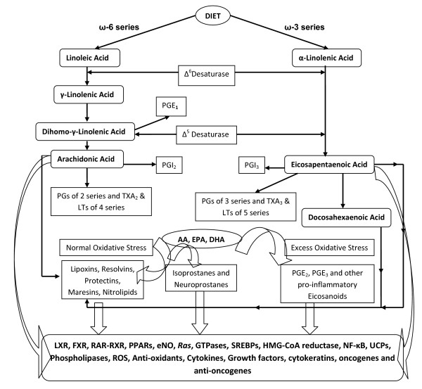 Figure 31