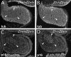 Fig. 9.