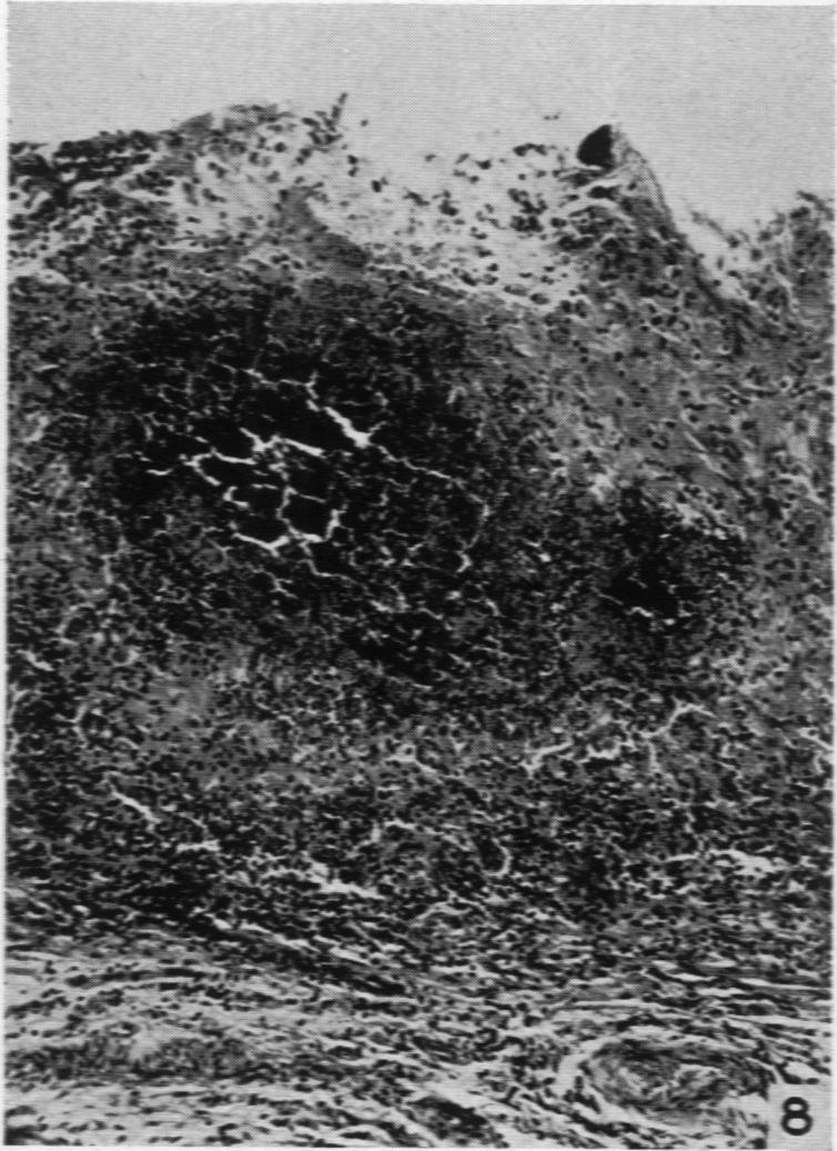 Fig. 8