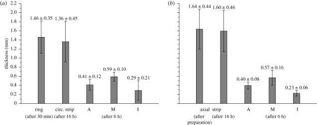 Figure 2.