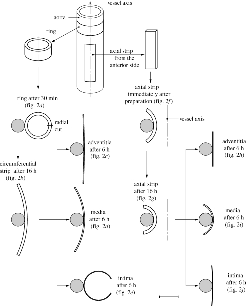 Figure 1.