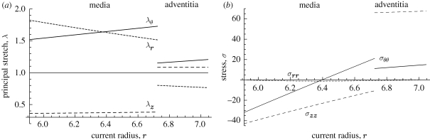 Figure 7.