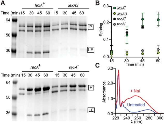 Figure 4.