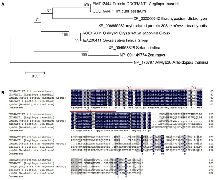 FIGURE 1