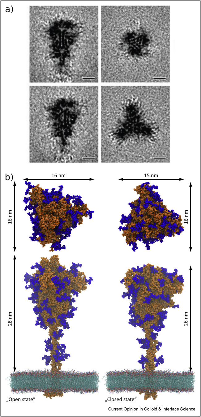 Figure 2