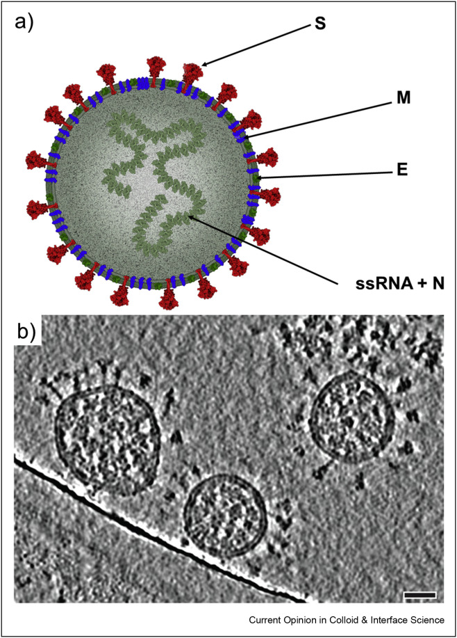 Figure 1