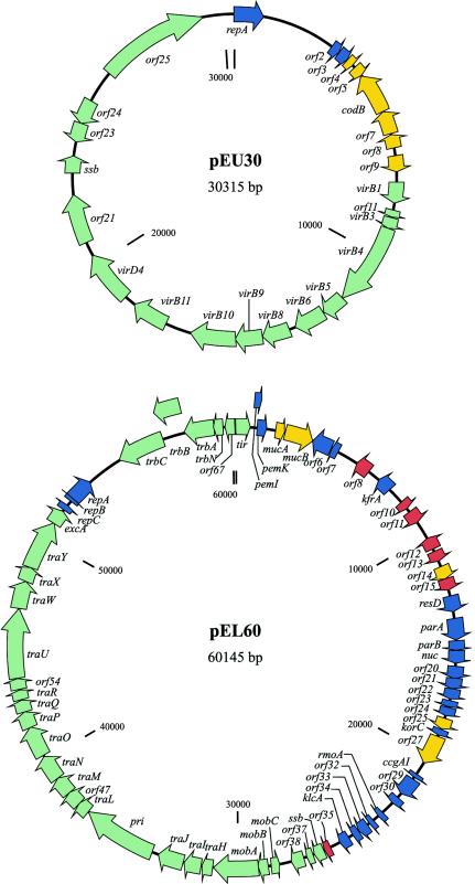 FIG. 2.