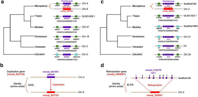 Fig. 4