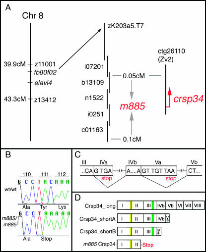 Figure 2.—