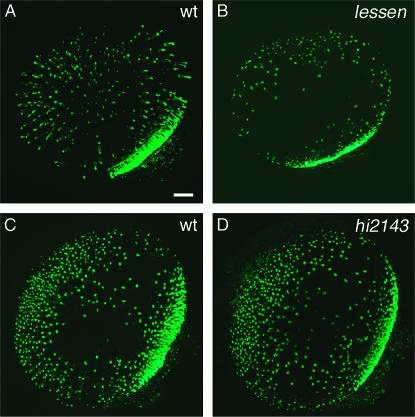 Figure 10.—