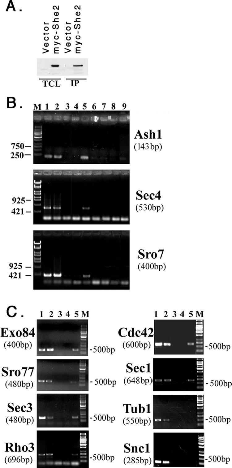 FIG. 7.