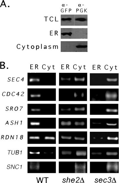 FIG. 9.