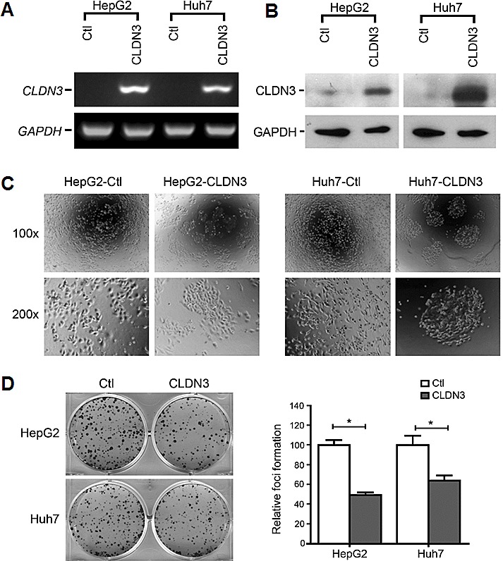 Fig.3