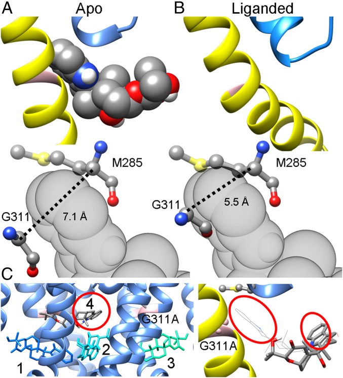 Fig. 2.