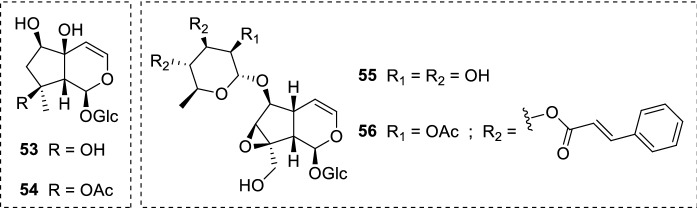 Fig. 12