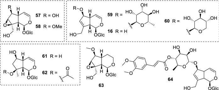 Fig. 13