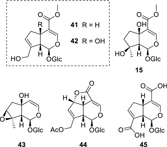 Fig. 10