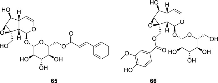 Fig. 14