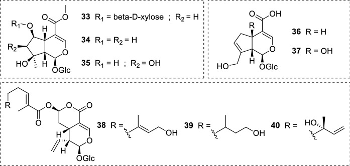 Fig. 9