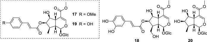 Fig. 5