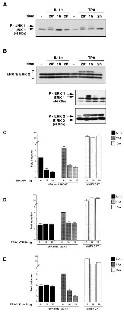 FIG. 8