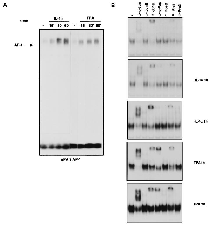 FIG. 5